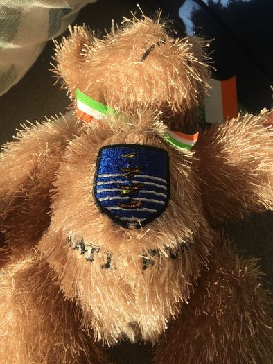 Soft toy Waterford crest teddy,