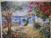 BOUGAINVILLAEA 1