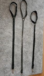 Pet car seat belt