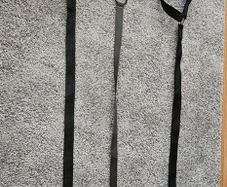 Pet car seat belt