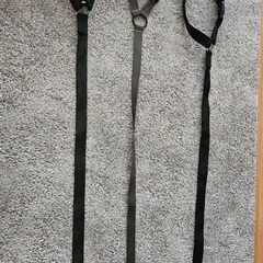 Pet car seat belt