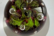 Vintage Caithness Glass (Moonflower) Paperweight