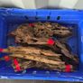 Dragon Wood Mix Sizes Image 4