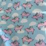 Pigs Will Fly Swimsuit by La Playa Image 4