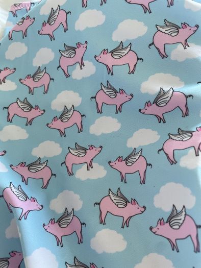 Pigs Will Fly Swimsuit by La Playa