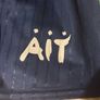 Ait Gaa Shorts Image 3