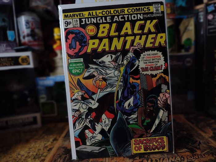 Jungle Action ! The Black Panther ! Issue #19 ! Black Panther Fights the Ku K.l.u.x. Klan ! Bronze Age Comic from 1976 ! by Marvel !