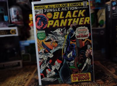 Jungle Action ! The Black Panther ! Issue #19 ! Black Panther Fights the Ku K.l.u.x. Klan ! Bronze Age Comic from 1976 ! by Marvel !