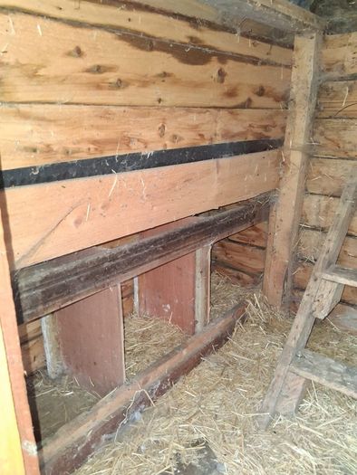Hen House