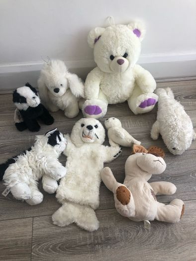 Teddy,soft toys