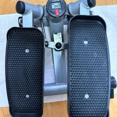 Mini Stepper Exercise
