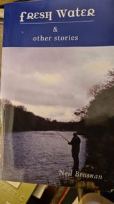 Fresh Water And Other Stories. By Niel Brosnan. Paperback In Good Condition.