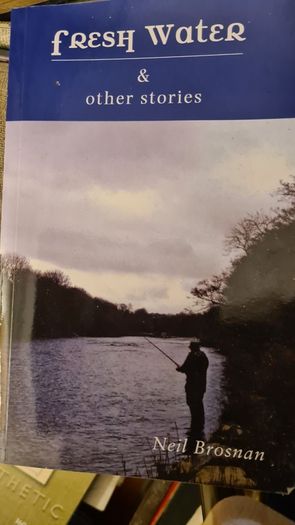 Fresh Water And Other Stories. By Niel Brosnan. Paperback In Good Condition.
