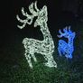 Christmas lights price reduced Image 10