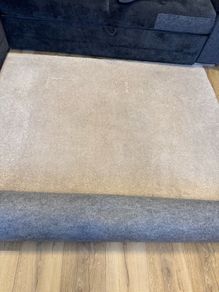 Free rug