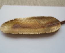 Feather dish, Display ,Trinket dish.Gold feather,Home decor