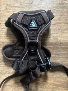 cat harness and leash ( medium) size