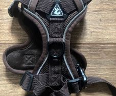 cat harness and leash ( medium) size