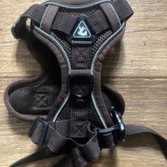 cat harness and leash ( medium) size