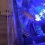 aquarium Image 2