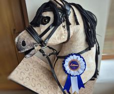 LeMieux Dream Hobby Horse