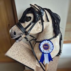 LeMieux Dream Hobby Horse