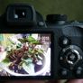Fuji Fujifilm Finepix S S4000 bridge travel super zoom 30x 24mm wide 14mp camera +SD Card, works well Image 3