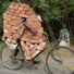 crazycycling