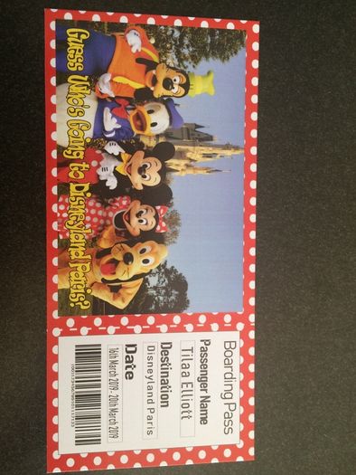 Personalised DIsneyland Boarding pass