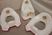 Potty and Toilet Seat