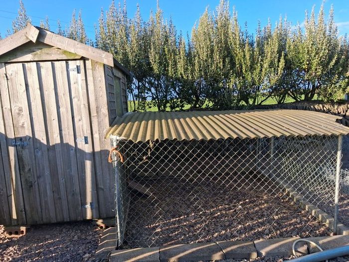 Good solid timber Hen house (6ftx4ft) & hen run