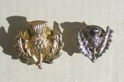 Scottish Thistle emblems x 2 tic-tac badges