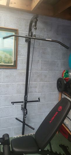 vidaXL Wall-Mounted Home Gym