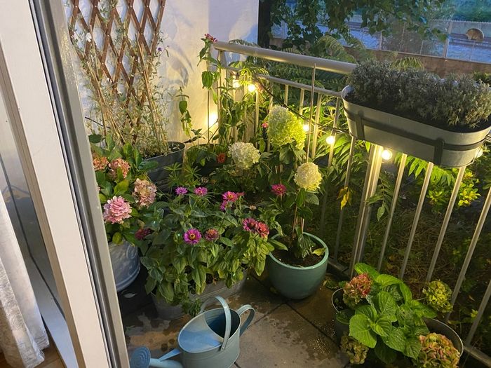 Garden lights