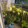 Garden lights Image 4