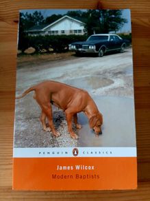 Modern Baptists. James Wilcox