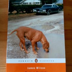 Modern Baptists. James Wilcox
