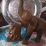 Carved Elephant + Another Image 2