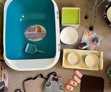 Cat supplies litter tray and pet bowls