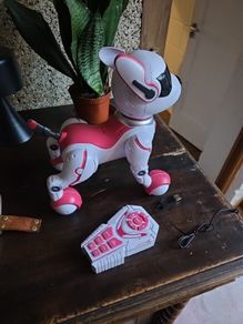 Zoey the Robo Dog