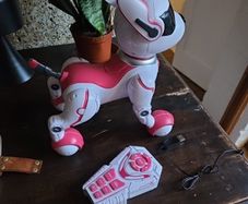 Zoey the Robo Dog