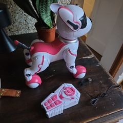 Zoey the Robo Dog