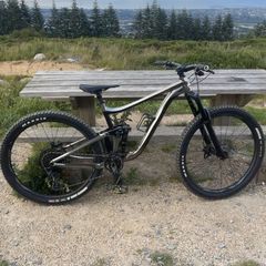 Giant Reign 2 Mountain Bike
