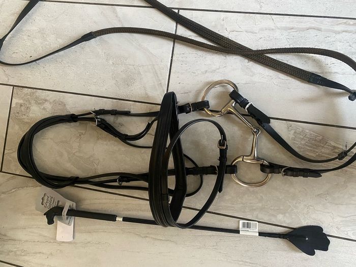 horse bridle