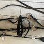 horse bridle Image 4