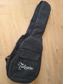 Takamine Gig Bag