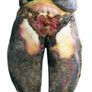 HEALMAX (treatment for Mortellaro and Footrot) Image 6