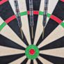 Barney darts 25g Image 3