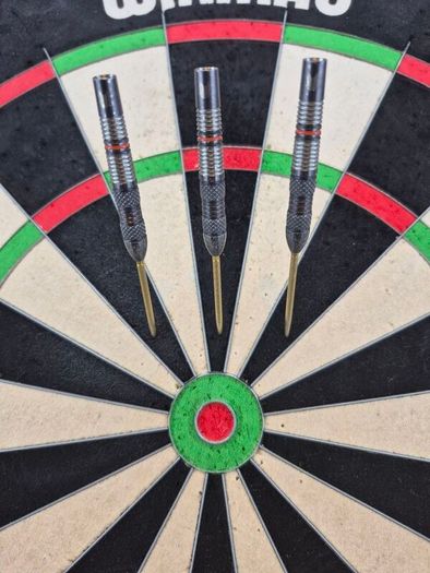 Barney darts 25g