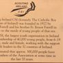 Callcard 1180 Boy Scouts Image 2